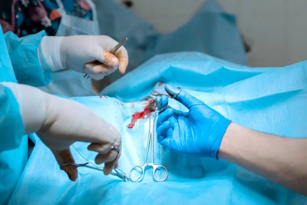 Cirurgião Masculino Uma Máscara Opera Uma Sala Cirurgia Com Assistente — Fotografia de Stock