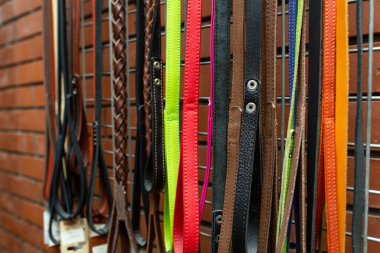 Evcil hayvan dükkanındaki vitrinde çok renkli köpek tasmaları var..