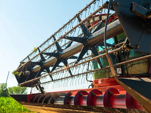 Colheita Trigo Verão Colheitadeira Vermelha Trabalhar Terreno Colheitadeira Máquina Agrícola — Fotografia de Stock