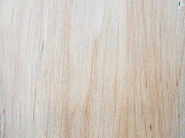 Ağaç yapısı yakın plan. İşlenmiş ahşabın dokusu. Beyaz tahta. Parlak ahşap.