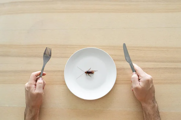 トップビュー 男はゴキブリを食べる キッチンテーブルの上の白いプレートにゴキブリ 奇妙な味の好み — ストック写真