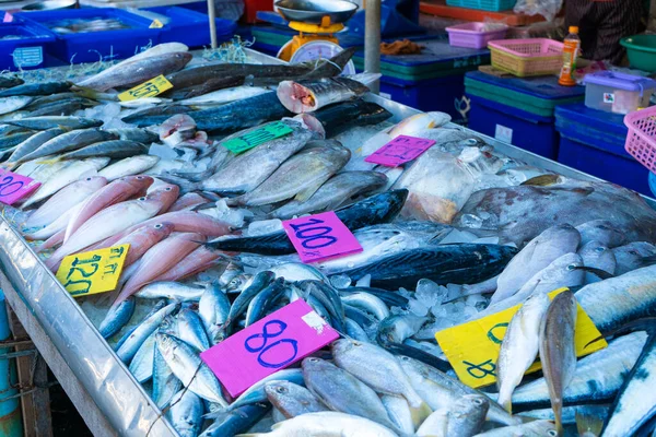 魚市場のカウンターで新鮮な魚介類を海で味わう — ストック写真