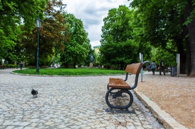 Prag 'daki yeşil park. Yanında bir güvercinin oturduğu boş bir bank.