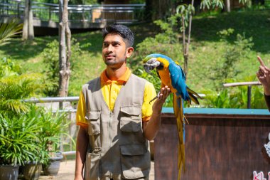 Kuş parkında kuşların olduğu bir gösteri. Papağanlı bir antrenör. Kuala Lumpur / Malezya - 03.17.2020