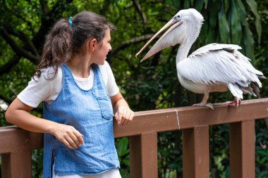 A girl is photographed next to a white pelican in a green park. Bird watching. clipart