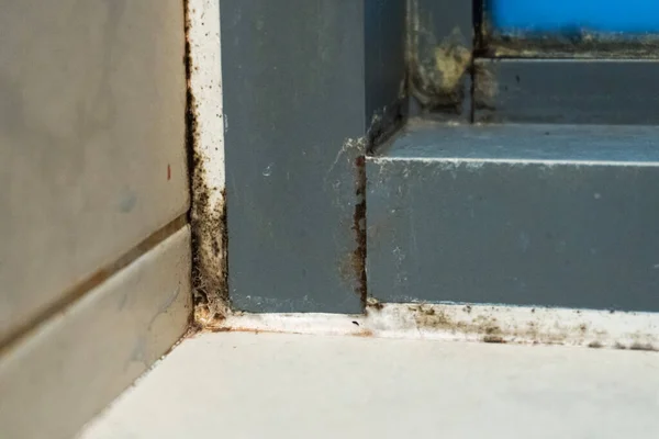 Duştaki Eski Plastik Pencere Çerçevesi Küflü Açı Mantar Sorunlu Alanlar — Stok fotoğraf