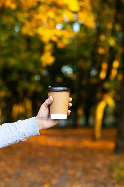 Camine Con Una Taza Cacao Caliente Parque Otoño — Foto de Stock