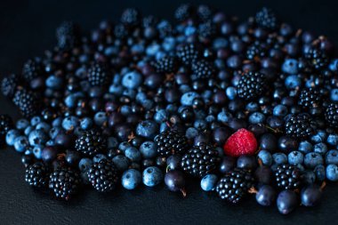 Eşsizlik konsepti. Diğerleri gibi değil. Böğürtlen üzümü ve böğürtlenli böğürtlen karışımında kırmızı ahududu..
