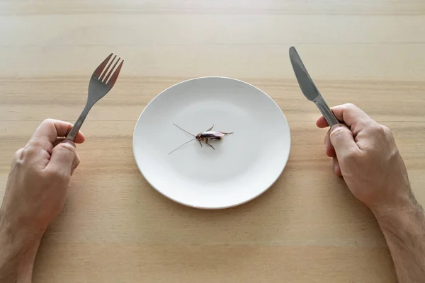 Vista Superior Hombre Comiendo Una Cucaracha Cucaracha Plato Blanco Mesa — Foto de Stock