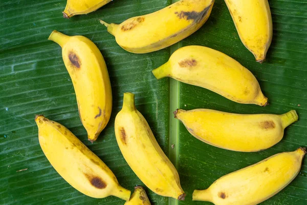 Flat Lay Layout Yellow Bananas Green Banana Leaf Eco Food — Stock Photo, Image