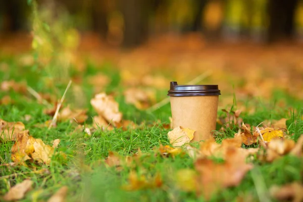 Camine Con Una Taza Cacao Caliente Parque Otoño Taza Artesanal — Foto de Stock