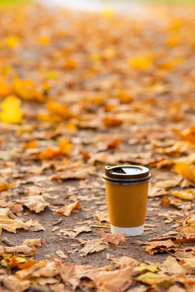 Caminhe Com Uma Xícara Cacau Quente Parque Outono Artesanato Xícara — Fotografia de Stock