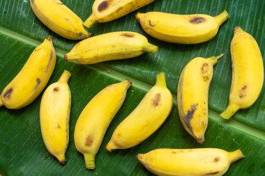 Yeşil muz yaprağının üzerinde sarı muz deseni vardı. Çevre yiyecekleri.