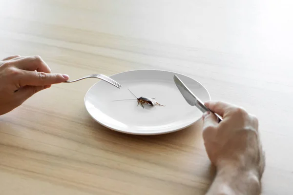 高瞻远瞩一个吃蟑螂的男人在厨房桌上的一个白色盘子里放着一只蟑螂 奇怪的口味偏好 — 图库照片