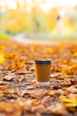 Sonbahar parkında bir fincan sıcak kakaoyla yürümek. Yol üzerinde sarı yapraklı bir fincan kahve..