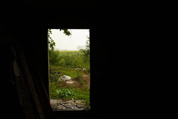 Luz Entra Granero Oscuro Través Una Puerta Que Patio Verde — Foto de Stock