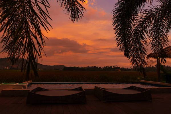 Palmera Está Fondo Una Inusual Puesta Sol Tropical Roja Con — Foto de Stock