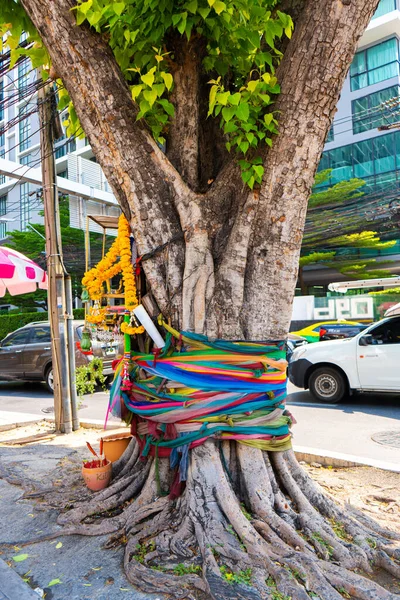 Árbol Atado Con Una Cinta Árboles Ritos Sagrados Asia — Foto de Stock