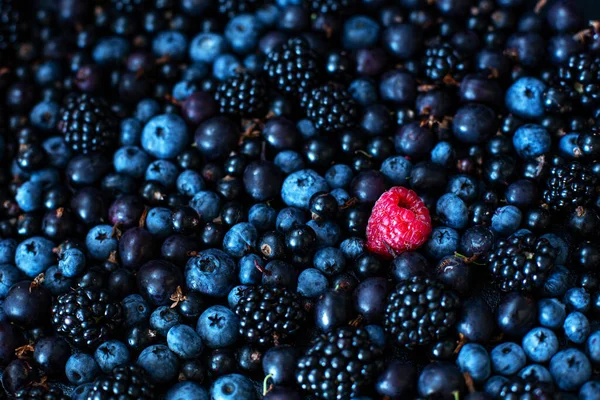 Conceptul Unic Ceilalţi Zmeura Roșie Într Amestec Fructe Padure Negre — Fotografie, imagine de stoc
