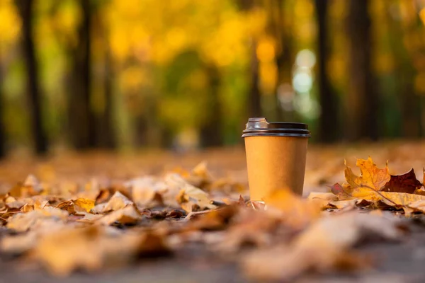 Walk with a cup of hot cocoa in the autumn park. Craft cup of coffee on the road with yellow fallen leaves.
