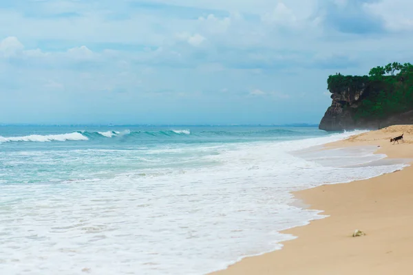 Idealisk Tropisk Sandstrand För Surfing Havet Vackert Klart Turkost Vatten — Stockfoto