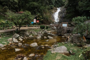 Dağ nehri taşların üzerinden akıyor. Malezya 'da vahşi yaşam güzelliği.
