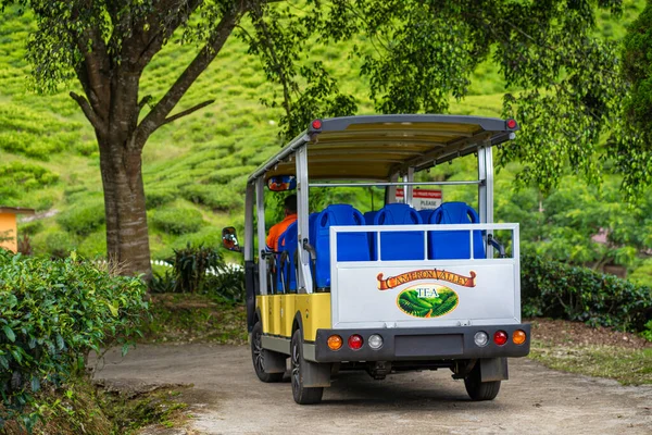 Vehículo Eléctrico Para Transporte Turistas Visitantes Del Valle Del Cameron — Foto de Stock