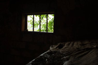 Işık, küçük bir pencereden karanlık bir ahıra girer. Orada yeşil bir ağaç görünür.