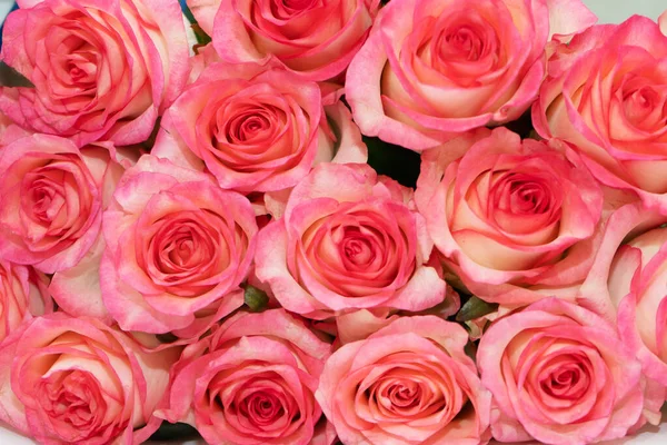 분홍빛과 장미에서 꽃다발 — 스톡 사진