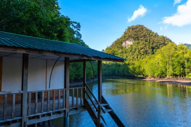 İnanılmaz güzel doğa manzarası, nehre giden tekneler için bir iskele, dağlara bakan yeşil bir orman.