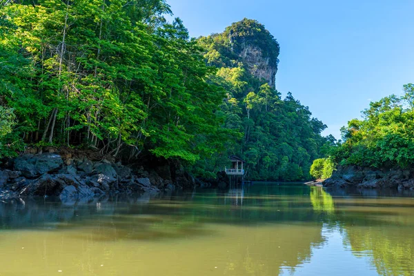 Maravilhosa Paisagem Natural Ásia Vista Rio Largo Para Floresta Montanha — Fotografia de Stock