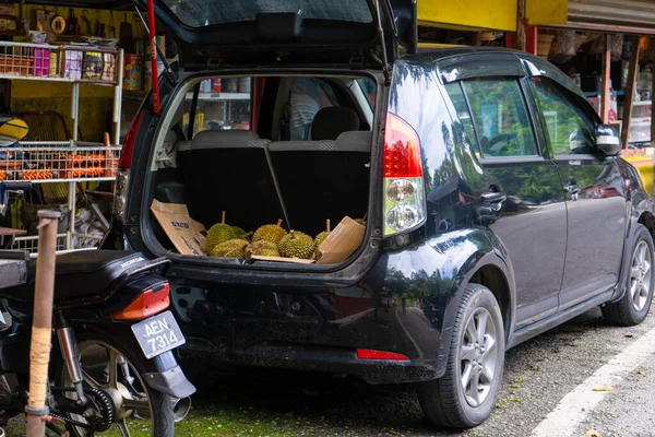 亚洲水果街市场 榴莲水果是从汽车行李箱中出售的 Cameron Highlands Malaysia 2020 — 图库照片