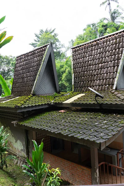Architecture Insolite Petites Maisons Avec Hauts Toits Carrelés Dans Jungle — Photo
