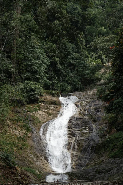 Gebirgsfluss Fließt Über Die Steine Schönheit Der Tierwelt Malaysia — Stockfoto