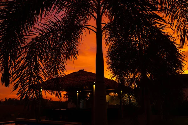 Beau Coucher Soleil Orangé Sous Les Tropiques Canopée Rue Foin — Photo