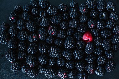 Eşsizlik kavramı. Diğerleri gibi değil. Siyah dut yığınında kırmızı ahududu.