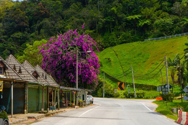 Paisagem Estrada Nas Montanhas Ásia Casas Antigas Longo Estrada Uma — Fotografia de Stock