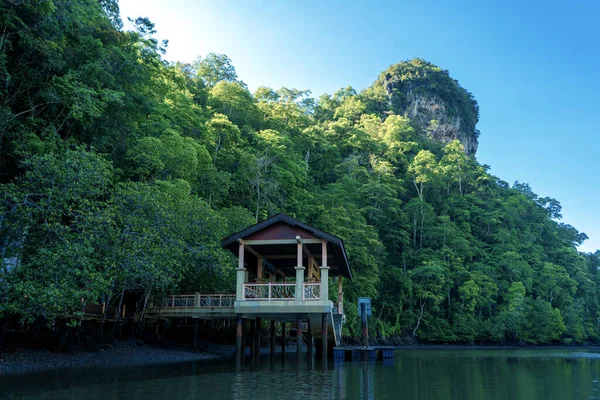 Paisagem Natural Incrivelmente Bela Cais Para Barcos Para Rio Uma — Fotografia de Stock