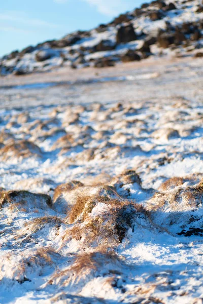 Campo Lava Helada Cubierto Musgo Pie Una Montaña Islandia Invierno — Foto de Stock