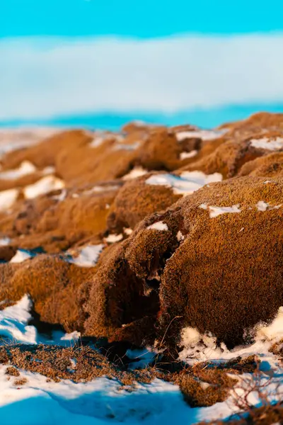 アイスランドの冬の風景 苔で覆われた固化した溶岩のフィールドは雪で覆われている — ストック写真