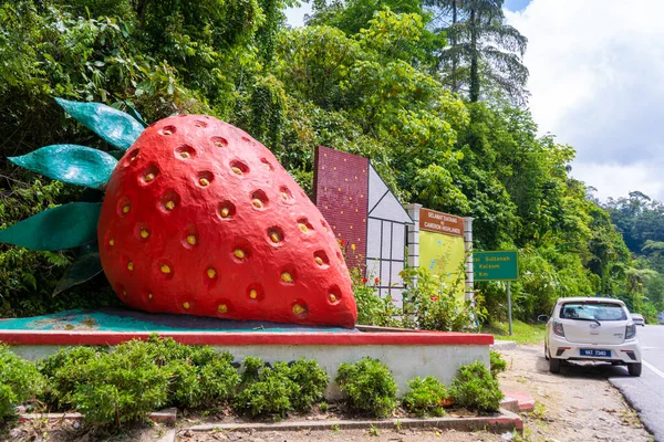 Una Escultura Una Enorme Fresa Roja Lado Carretera Strawberry Farms — Foto de Stock
