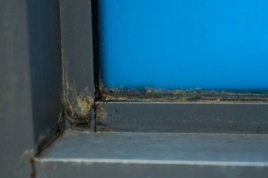 Duştaki eski plastik pencere çerçevesi. Küflü açı, mantar. Sorunlu alanlar duş alıyor