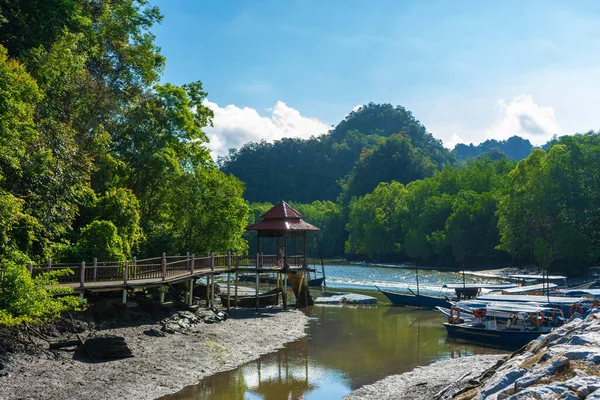 Incredibly Beautiful Natural Landscape Pier Boats River Green Forest Overlooking — Stock Photo, Image