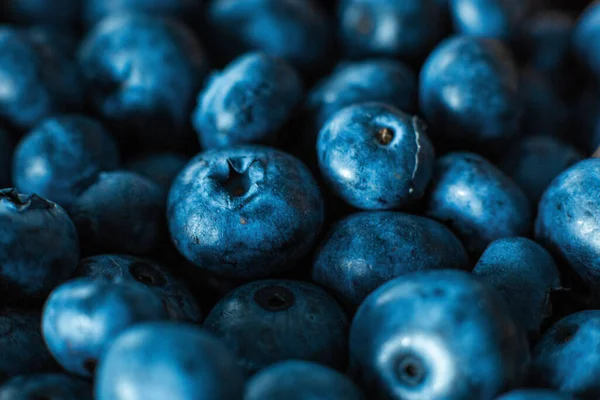 Blåbär Närbild Sommarvitaminer — Stockfoto