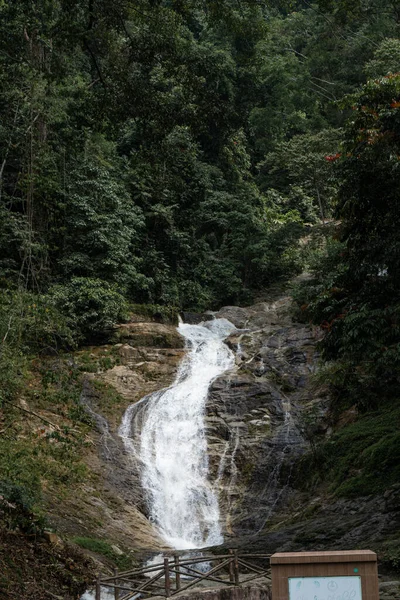 Mountain River Flowing Stones Wildlife Beauty Malaysia — Stock Photo, Image