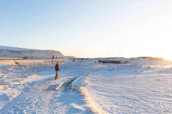 Турист Ходит Полю Исландии Зимой Наслаждается Красотой Зимних Природных Пейзажей — стоковое фото