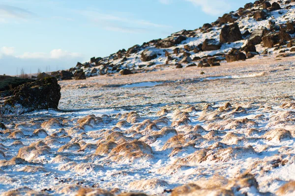 冬にはアイスランドの山のふもとに苔で覆われた凍った溶岩のフィールド 冬の自然景観 — ストック写真