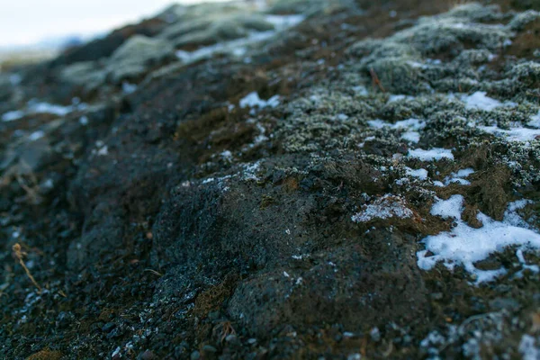 Winter Landscape Iceland Field Solidified Lava Covered Moss Covered Snow — Stock Photo, Image