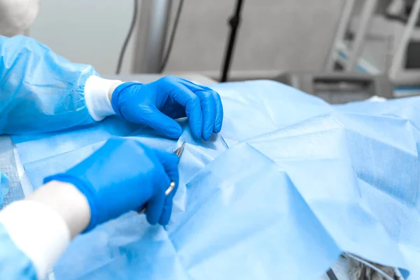 Vet Surgeon Assistant Cover Dog Patient Sterile Cover Preparing Vet — Stock Photo, Image