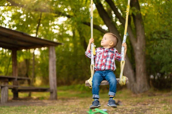 Маленький Хлопчик Їде Гойдалці Зеленому Парку Щасливе Дитинство — стокове фото